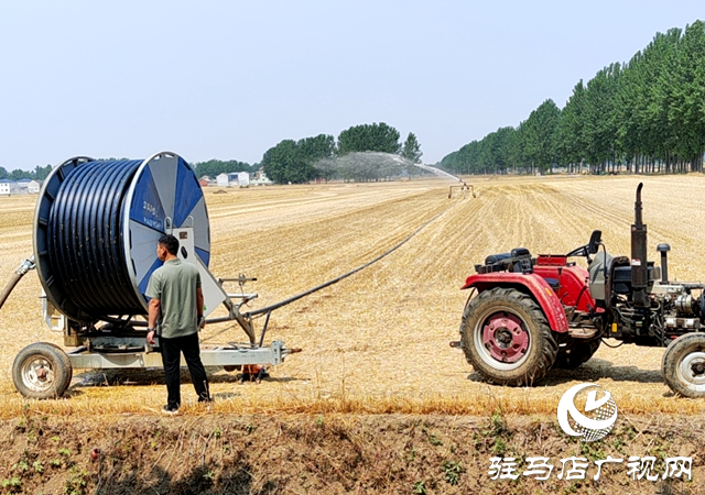 平輿縣十字路鄉：全力以赴齊發力 抗旱保苗奪豐收