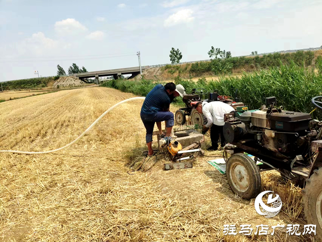確山縣雙河鎮：多種舉措抗旱保秋