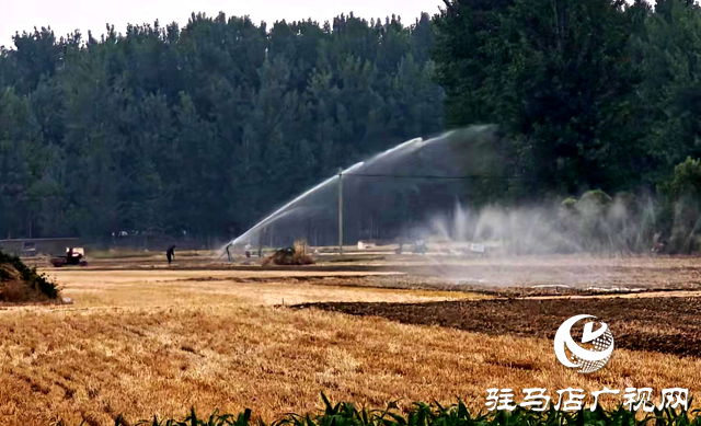 平輿縣十字路鄉：全力以赴齊發力 抗旱保苗奪豐收