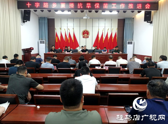 平輿縣十字路鄉：全力以赴齊發力 抗旱保苗奪豐收
