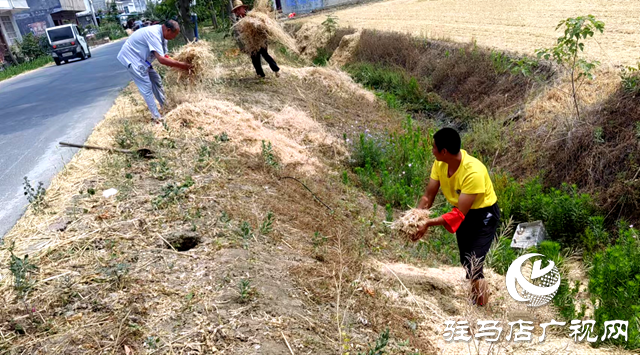 新蔡縣化莊鄉：秸稈清運除隱患 筑牢禁燒“防火墻”