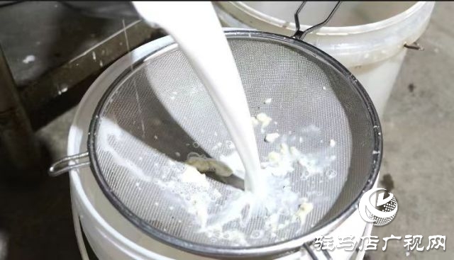 長壽之鄉的美食故事——春會的涼皮情