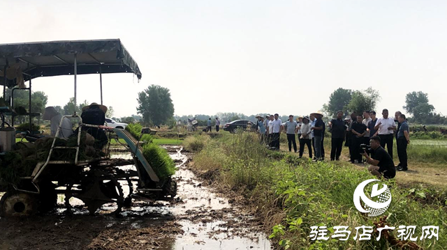 確山縣：科技助農新動力 觀摩示范促單產