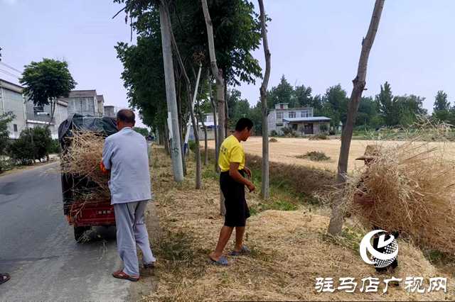 新蔡縣化莊鄉：秸稈清運除隱患 筑牢禁燒“防火墻”