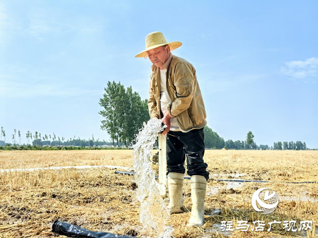 搶抓農時 全面抗旱保秋
