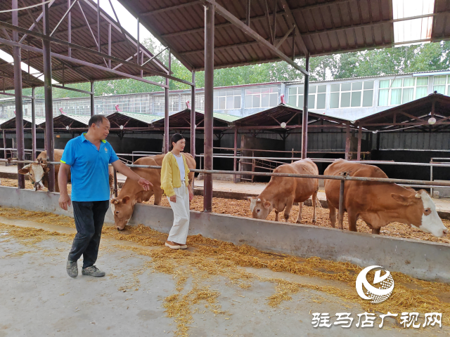 平輿縣李屯鎮李屯村：黨建三級聯動雙提升 強村富民促振興