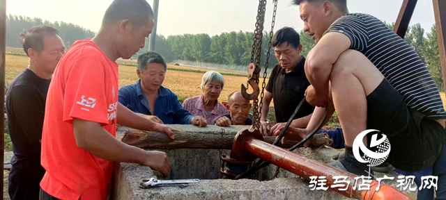 汝南縣留盆鎮：黨建引領保豐收 黨群齊心抗旱情