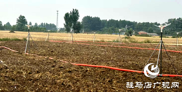 汝南縣留盆鎮：黨建引領保豐收 黨群齊心抗旱情