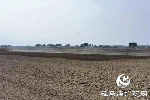 正陽縣袁寨鎮：全力以赴抗旱保秋