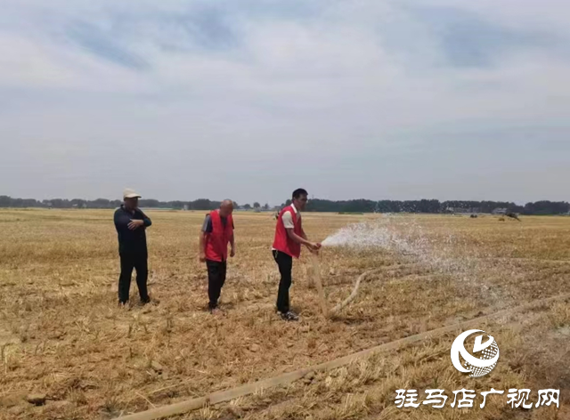 新蔡縣河塢鄉：打通灌溉“運輸線” 泵出農田“生命水”