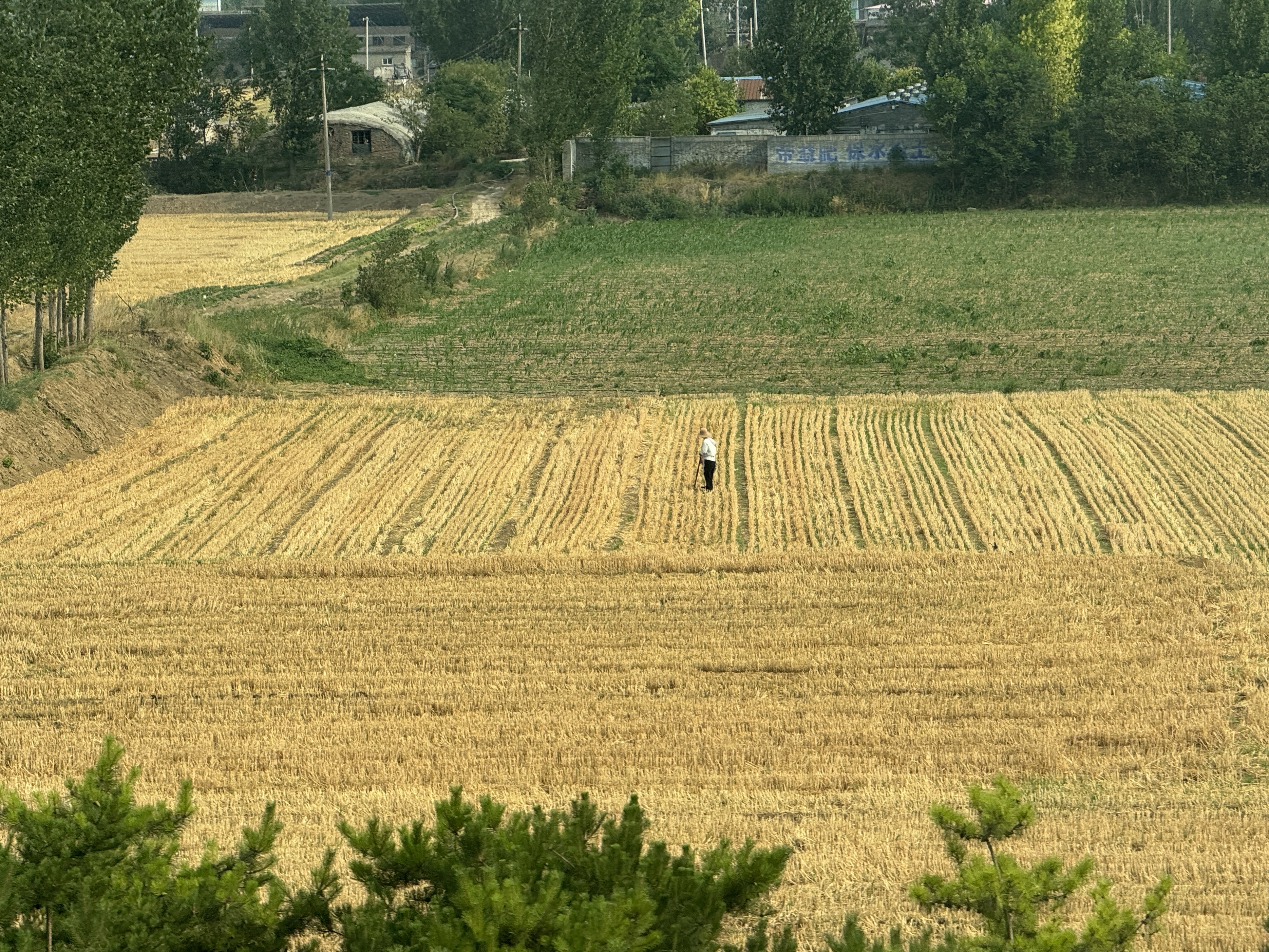 河聲｜排除雜音、全力以赴，下好抗旱救災這盤棋