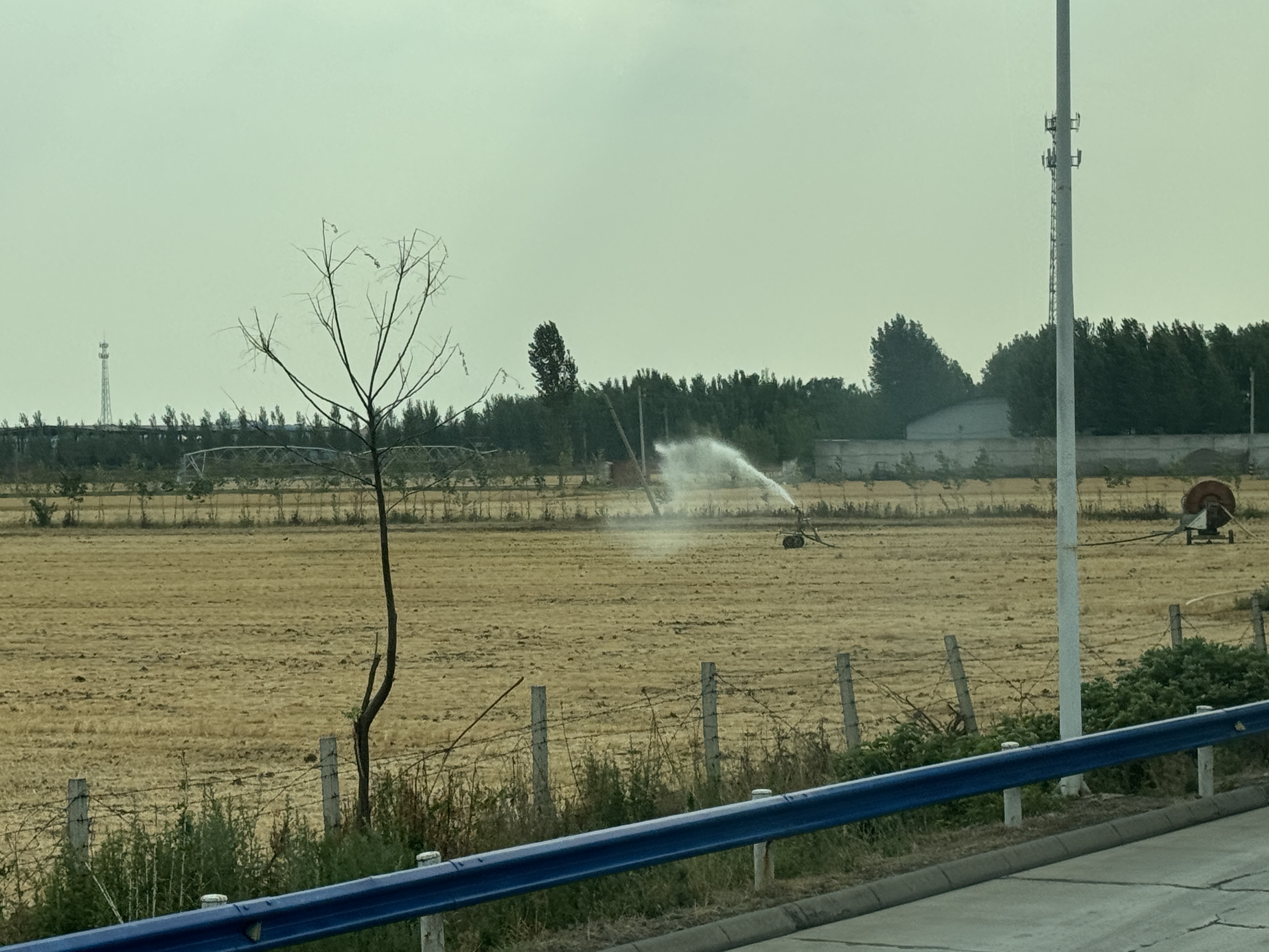 河聲｜排除雜音、全力以赴，下好抗旱救災這盤棋