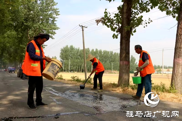 新蔡縣佛閣寺鎮：情系群眾辦實事 維修道路暖人心