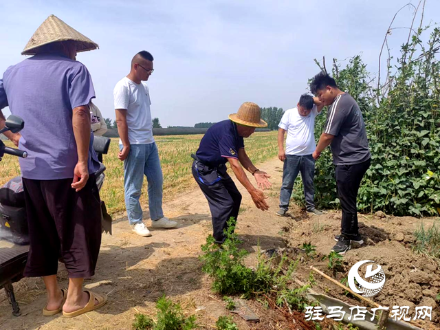 平輿縣司法局：耕地占路引糾紛 田間調解促和諧