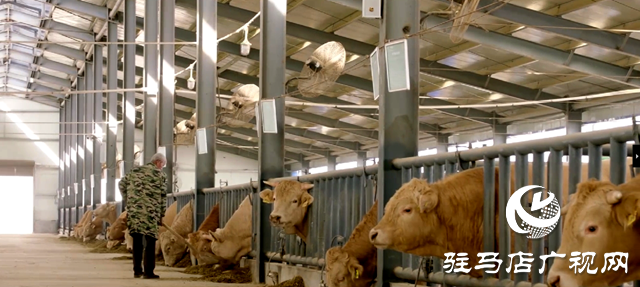 駐馬店市動物疫病防疫檢疫中心發布6月份疫病預警預報信息