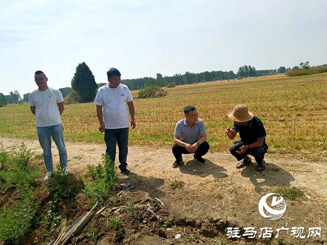 平輿縣司法局：耕地占路引糾紛 田間調解促和諧