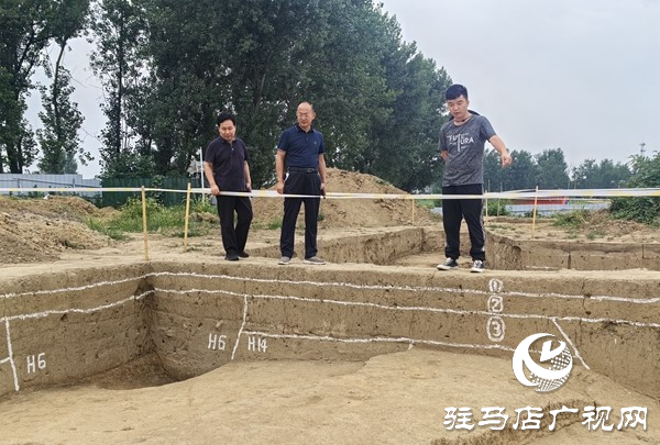 西平縣文化廣電和旅游局到丁寨遺址檢查文物發掘工地安全生產工作