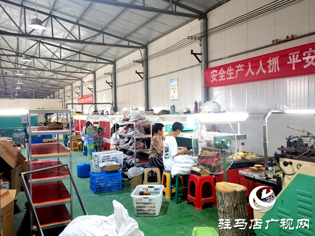 平輿縣十字路鄉：凝聚巾幗力量，助力“三園建設”
