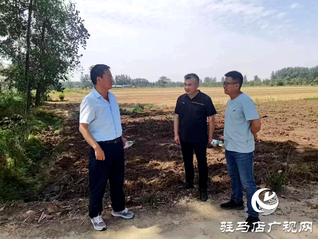 新蔡縣頓崗鄉多種措施推進耕地保護工作