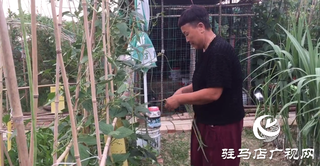 驛城區九合山莊共享農場：遠離城市喧囂 樂享田園生活