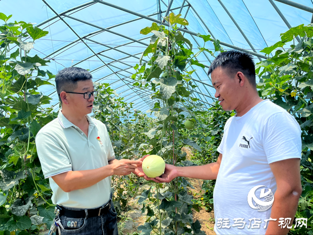 驛城區沙河店鎮趙堯村：黨旗飄揚黨建引領下的鄉村振興