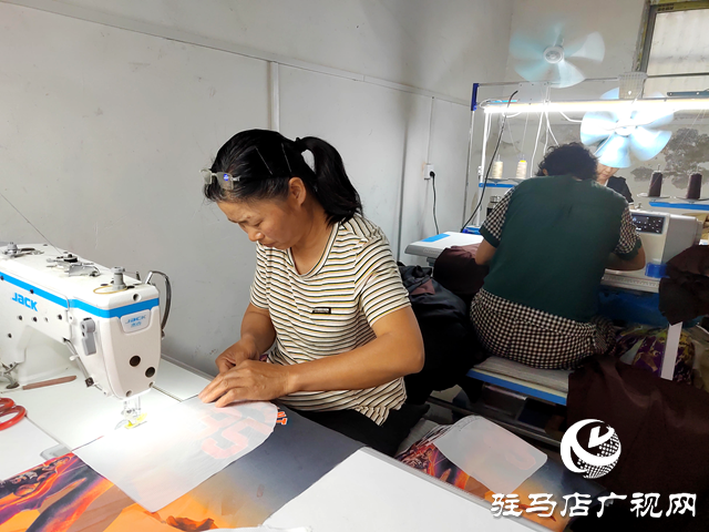 平輿縣：實施“雙提升”工程為鄉村振興注入源頭活水