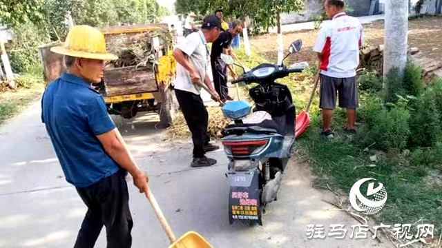 新蔡縣頓崗鄉：黨建引領助力人居環境整治抓實“生態宜居星”創建