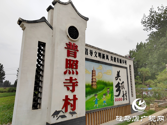 平輿縣：提“顏值”修“內涵” 鄉村向美而生