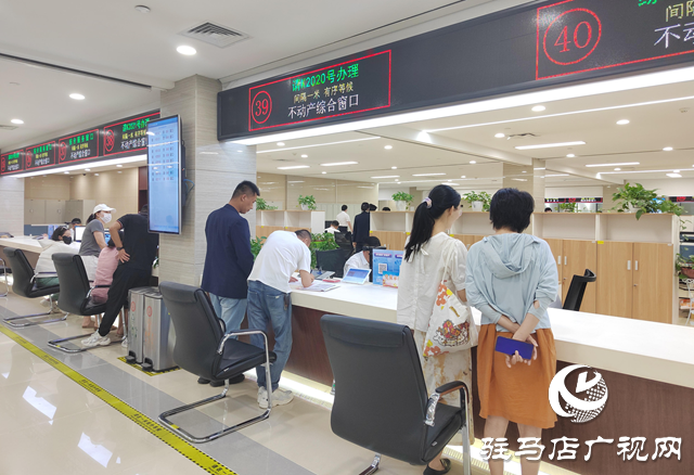 駐馬店：提升政務服務水平，助推經濟社會高質量發展