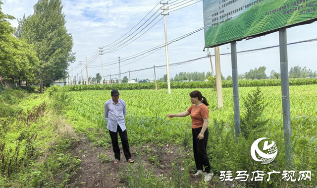 暴雨過后如何防范農田內澇？農業專家支招