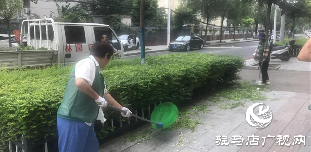 駐馬店經濟開發區城市管理局雨后綠化精管養 城市景觀煥新顏