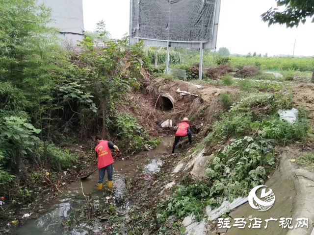 駐馬店經濟開發區賈莊居委會志愿者冒雨清理河道