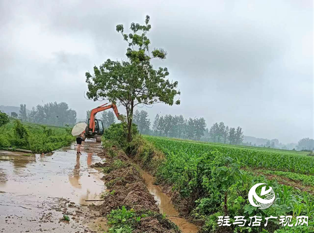 驛城區蟻蜂鎮：全面做好降雨應對工作 筑牢汛期安全屏障