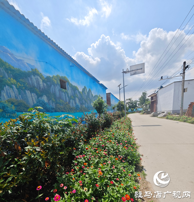 泌陽縣下碑寺鄉：花開美景添光彩 扮靚鄉村高“顏值”