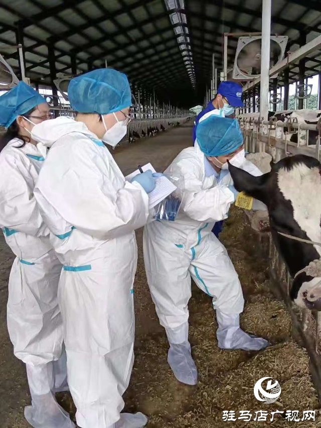 駐馬店市動物疫病防疫檢疫中心發布汛期動物疫病防控技術