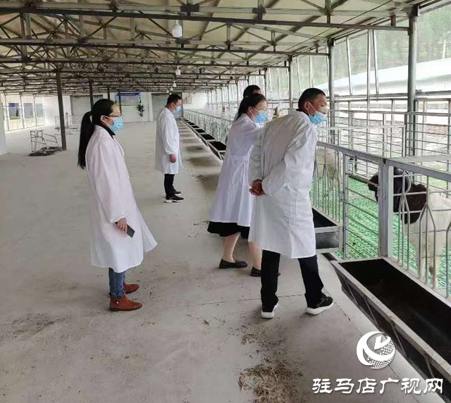 駐馬店市動物疫病防疫檢疫中心發布汛期動物疫病防控技術