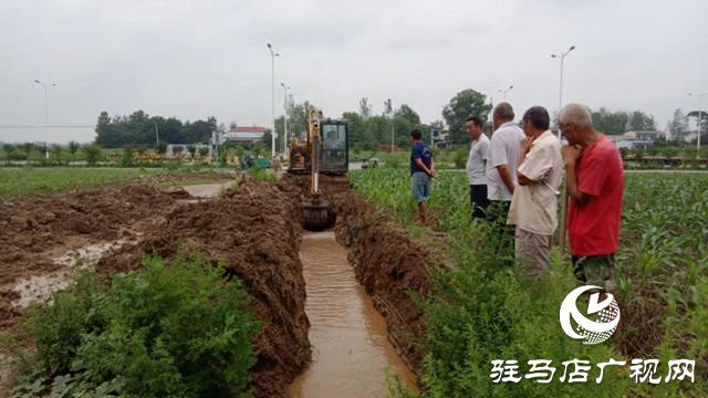 驛城區朱古洞鄉：全力做好農田排澇和管理 力保秋糧豐收