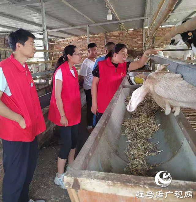 駐馬店市動物疫病防疫檢疫中心發布汛期動物疫病防控技術