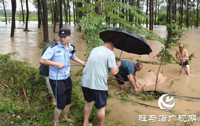 泌陽縣高邑鎮：以“汛”為令  打好汛期“主動仗”