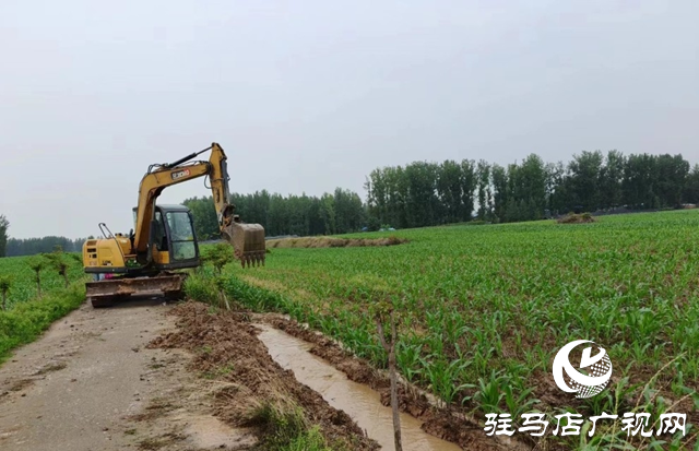 泌陽縣高邑鎮：以“汛”為令  打好汛期“主動仗”