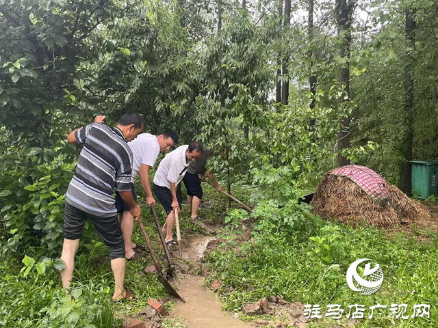新蔡縣磚店鎮：聞“汛”而動戰風雨 干群同心顯擔當