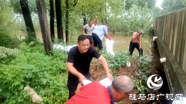 平輿縣射橋鎮：黨員干部沖鋒在前 防汛排澇彰顯擔當