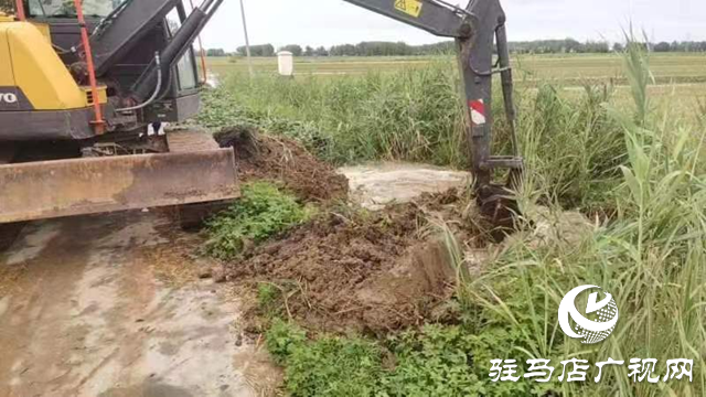 新蔡縣頓崗鄉多舉措做好防汛排澇工作