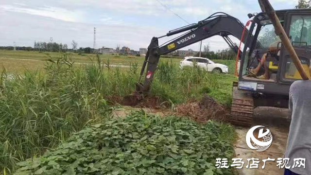 新蔡縣頓崗鄉多舉措做好防汛排澇工作