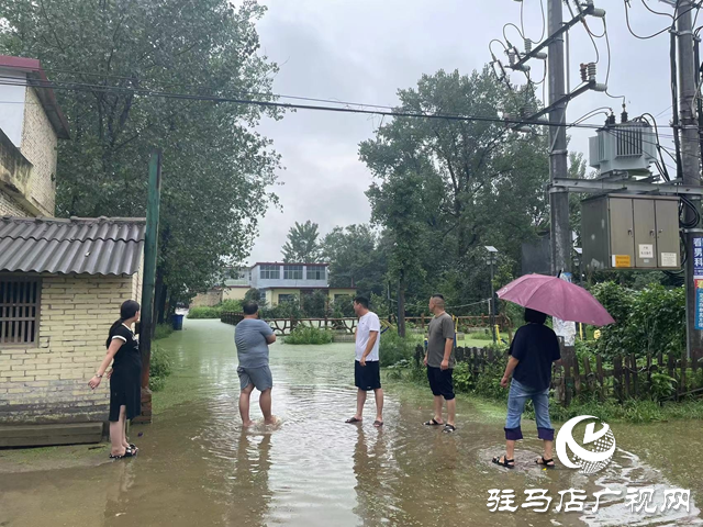 新蔡縣磚店鎮：聞“汛”而動戰風雨 干群同心顯擔當
