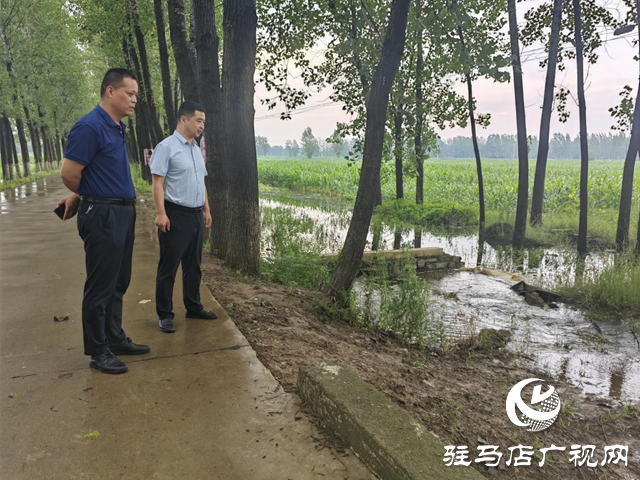 平輿縣李屯鎮：“防汛”+“備汛” 打好主動仗