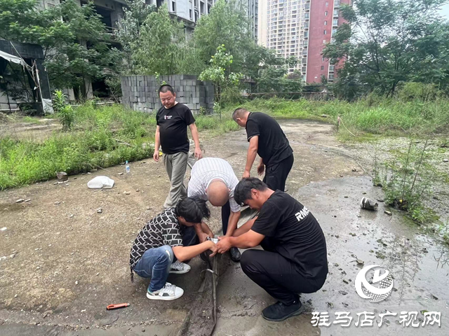 【防汛一線】駐馬店經濟開發區金山辦事處全力以赴做好防汛工作