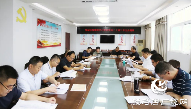 驛城區人民檢察院傳達學習貫徹黨的二十屆三中全會精神