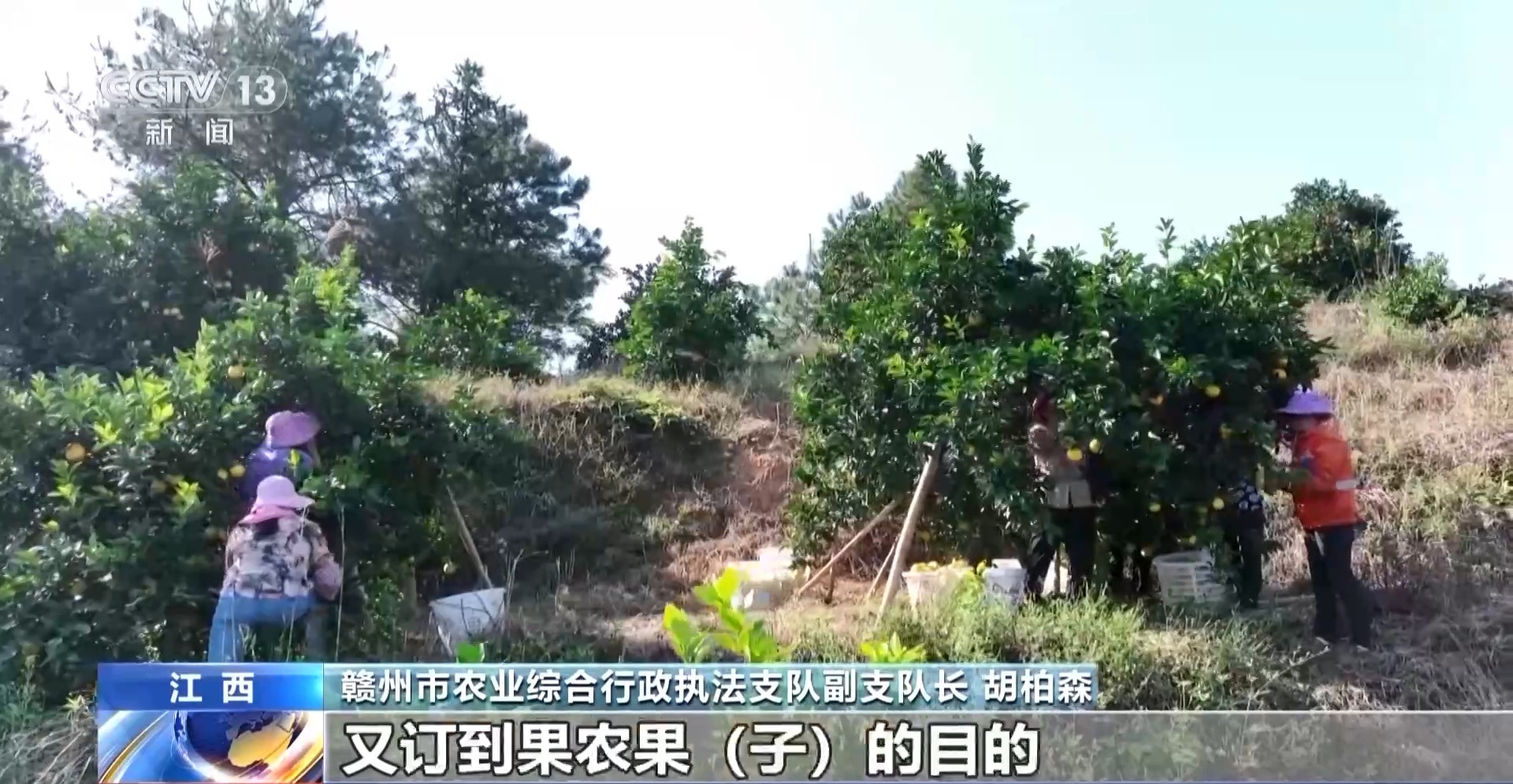 高價回收是誘餌！警惕以“訂單農業”為名的騙局