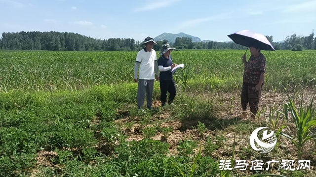 驛城區朱古洞鄉：產業獎補促增收